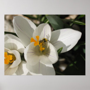 Beschäftigte Biene Poster