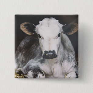 Beschäftigte Tagesernte Button