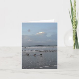 Beschäftigte Vögel auf der Strand-Anmerkungs-Karte Karte