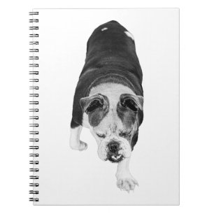 Beschatteter Schritt Hund inspiriert fokussiertes  Notizblock