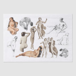 BESCHREIBUNGSPAPIER: NUDES SEIDENPAPIER