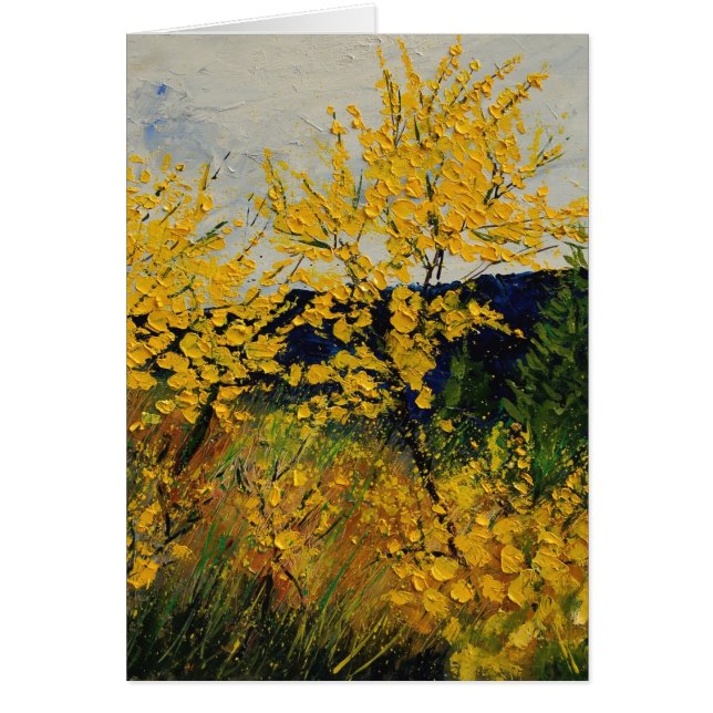 Besenbüsche (Vorne)