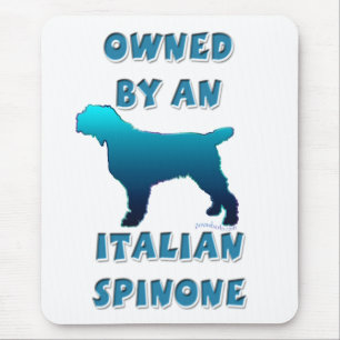 Besessen durch ein italienisches Spinone Mousepad