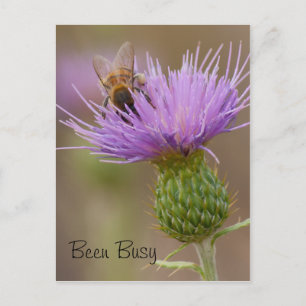 Besetzte Beete auf Lila Thistle-Fotografie individ Postkarte