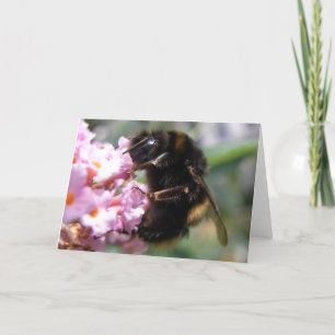 Besetzte Hummelkarte und rosa Blume Grußkarte Karte
