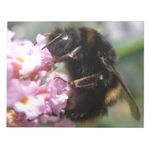 Besetzte Hummeln- und rosa Blume Notepad Notizblock