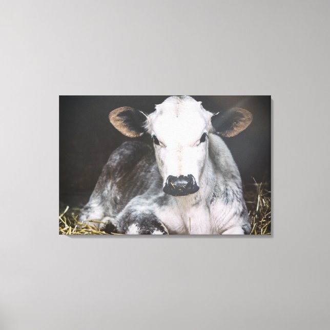 Besetzte Tageskrebse Leinwanddruck (Vorderseite)