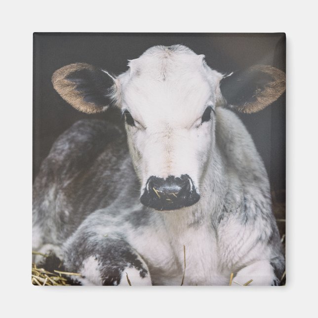 Besetzte Tageskrebse Magnet (Vorne)