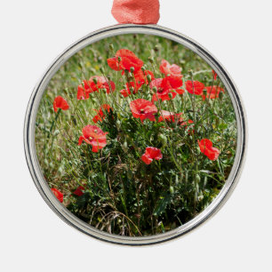Besiedelung von Mohn Ornament Aus Metall