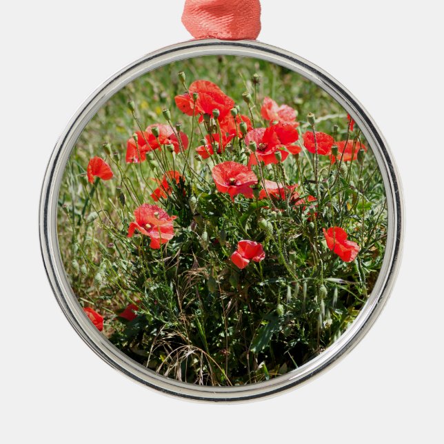 Besiedelung von Mohn Ornament Aus Metall (Vorne)