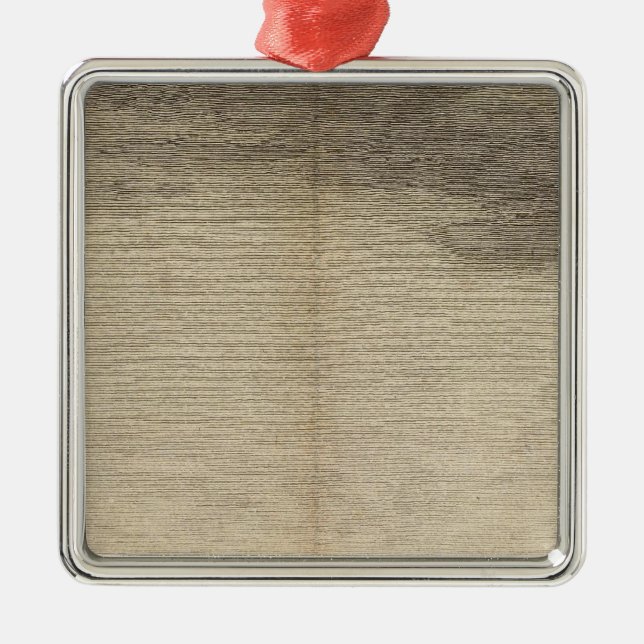 Besitz-Bucht, Südgeorgia Ornament Aus Metall (Vorne)