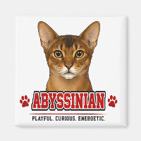 🐾 Besitzer einer Abessinierkatze - Familienstolz