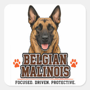 🐾 Besitzer einer belgischen Malinois Familie Stol Quadratischer Aufkleber