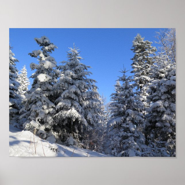 Beskids Winter Poster (Vorne)