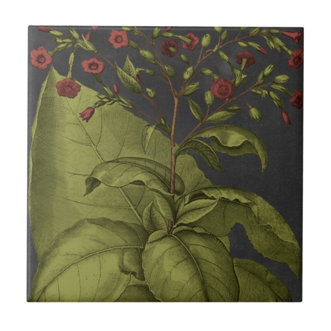 Besler Dramatique I Fliese (Vorderseite)