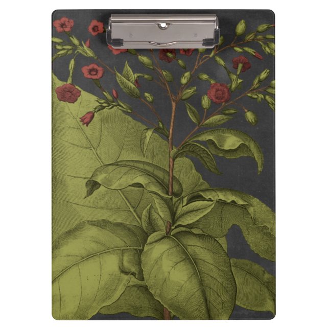 Besler Dramatique I Klemmbrett (Vorderseite)