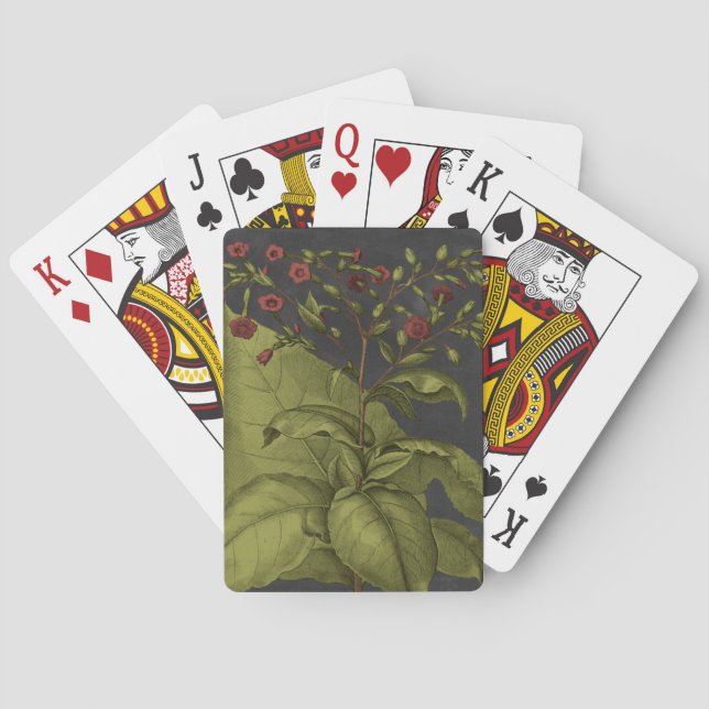 Besler Dramatique I Spielkarten (Rückseite)