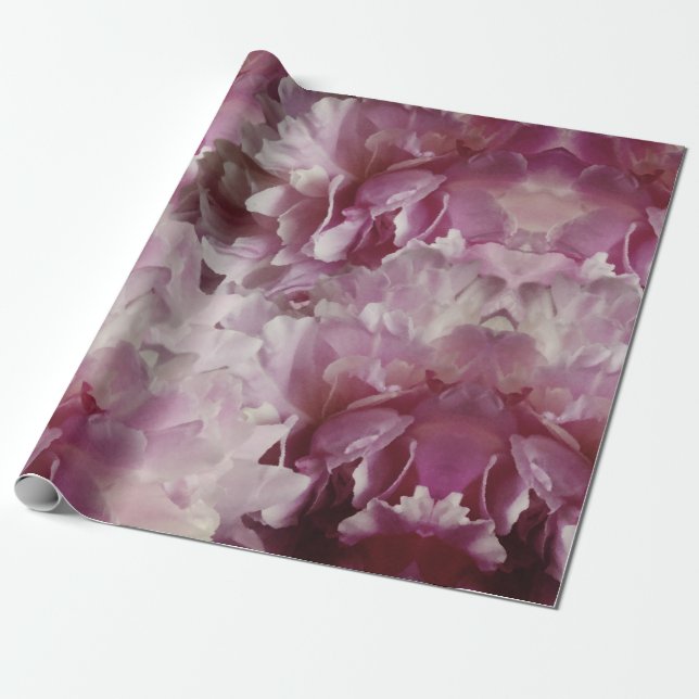Besondere Anlass Wrapping Paper Geschenkpapier (Ungerollt)