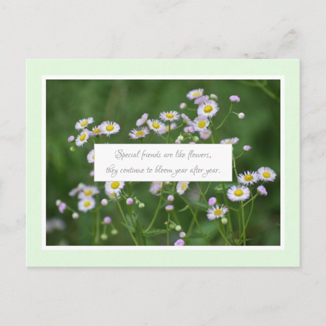 Besondere Freundschaft Postkarte (Vorderseite)