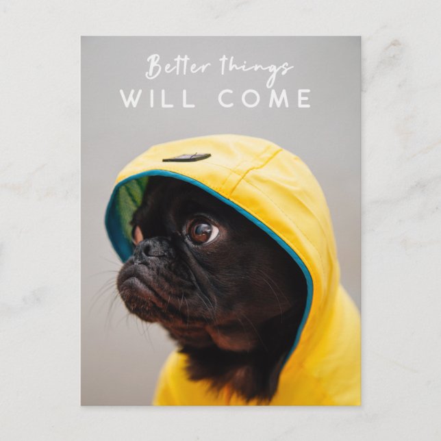 Bessere Dinge werden kommen | Mops Hund Niedlich R Postkarte (Vorderseite)