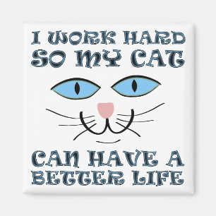 Besseres Leben für meine Katze Funny Kühlschrankma Magnet