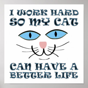 Besseres Leben für meine Katze Witziges Plakatzeic Poster