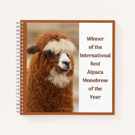 Best Alpaca Monobrow Notizbuch