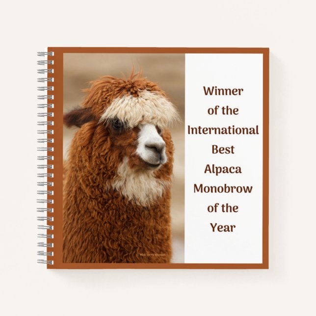 Best Alpaca Monobrow Notizbuch (Vorderseite)