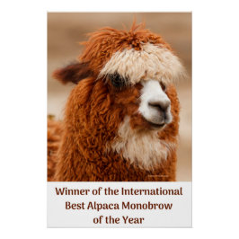 Best Alpaca Monobrow Poster
