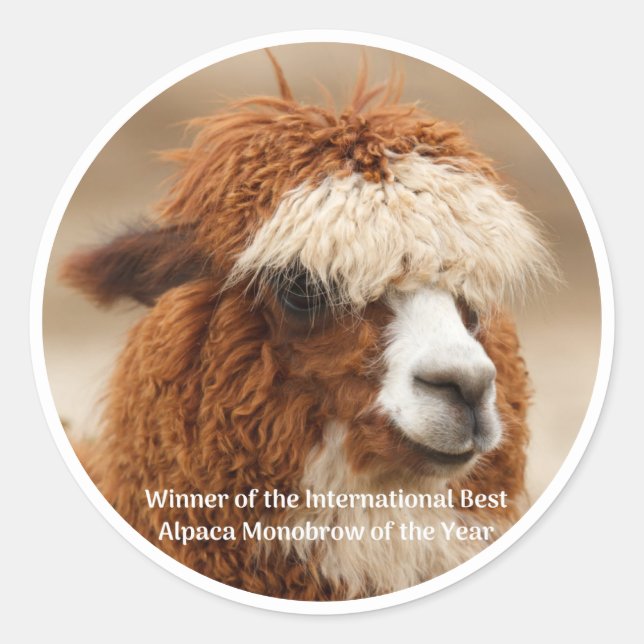 Best Alpaca Monobrow Runder Aufkleber (Vorderseite)