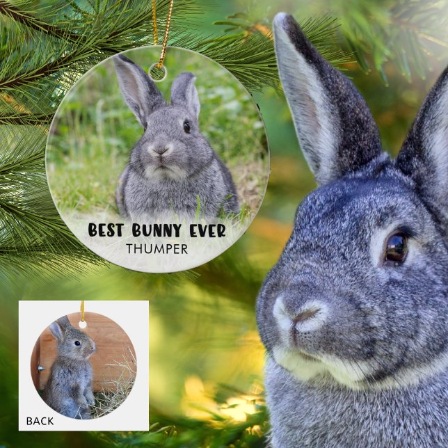 BEST BUNNY EVER Rabbit Foto Personalisiert Keramik Ornament (Von Creator hochgeladen)