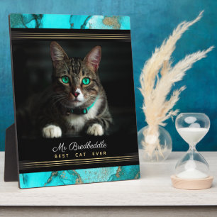Best Cat Ever Named Photo Template Teal Abstract Fotoplatte