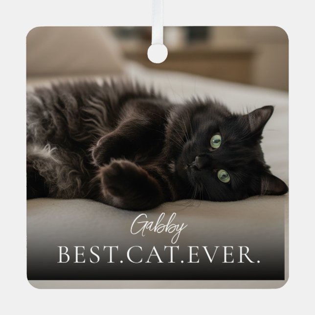Best Cat Ever Your Pet Name And Photo  Ornament Aus Metall (Vorderseite)