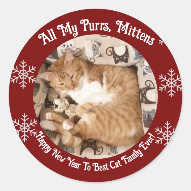  Best Cat Family  Ever , Cat Photo ,  Runder Aufkleber (Vorderseite)