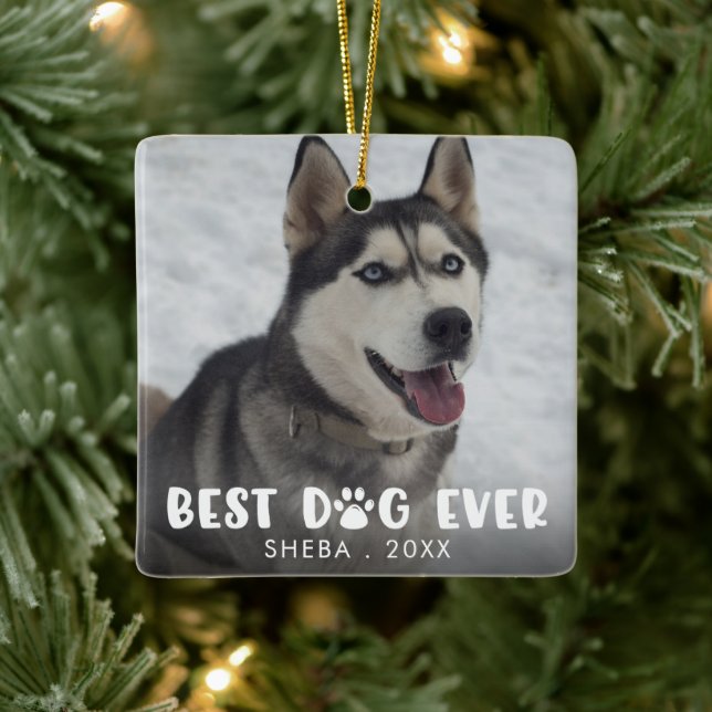 BEST DOG EVENT Paw Print Personalisiert Foto Keramikornament (Baum)