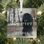 Best Dog Ever | Quote & Photo Gift Ornament Aus Glas<br><div class="desc">"A house is not a home without paw prints". Customize this glass ornament with your own pet photo. Featuring adorable paw print, pet name and lovely quote. Keep the quote as is or change to your custom caption. All colors can be changed. This personalized ornament makes a perfect give for...</div>