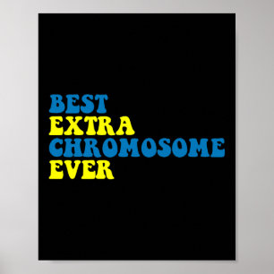 Best Extra Chromosome Down Syndrome Awareness Poster