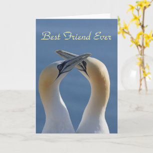 Best Friend Ever Bestie Foto Karte
