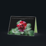 Best Friend Happy Birthday Red Striped Rose Card Karte<br><div class="desc">Schöne rote Rosen schmücken die Vorder- und Rückseite dieser Karte.</div>