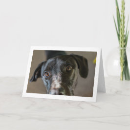 "Best Friend" leere gefaltete Grußkarte Karte