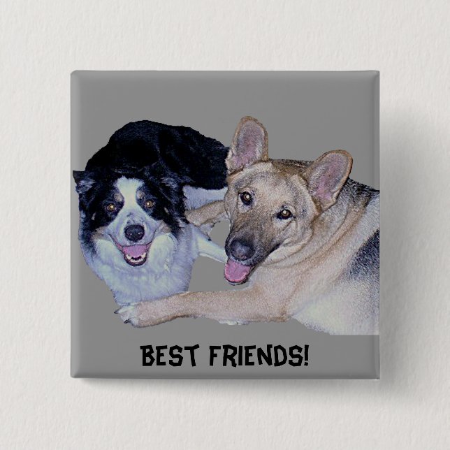 Best Friends Border Collie & German Shepherd Button (Vorderseite)