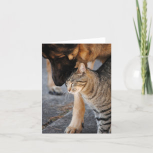 Best Friends - Cat & German Shepherd Card Karte