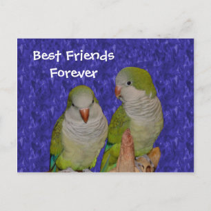 Best Friends Forever Niedlich Birds Postkarte