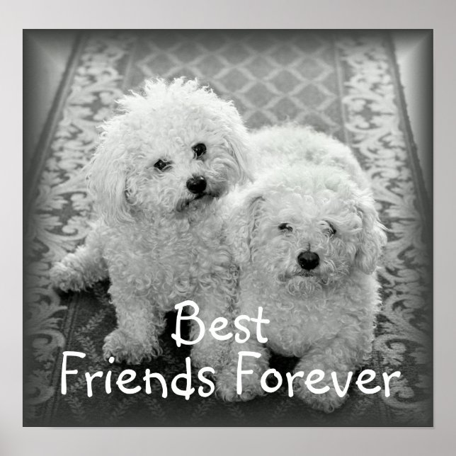 Best Friends Forever Poster Print (Vorne)