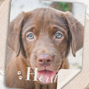 Best Hund Personalisiert Pet Labrador Puppy Foto Sherpadecke