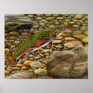 Best of Show 2004 Poster