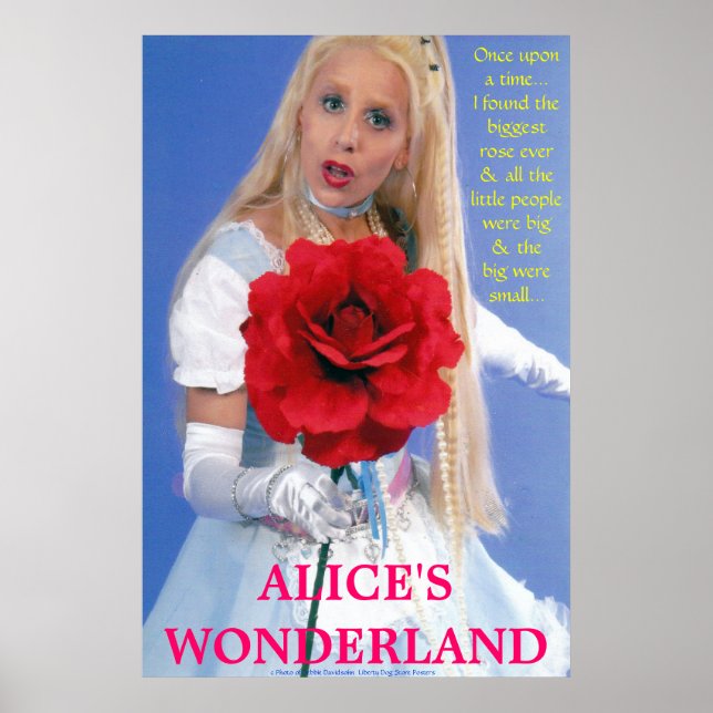 BEST POSTERS - ALICE IN WONDERLAND - UNE NOUVELLE  (Devant)