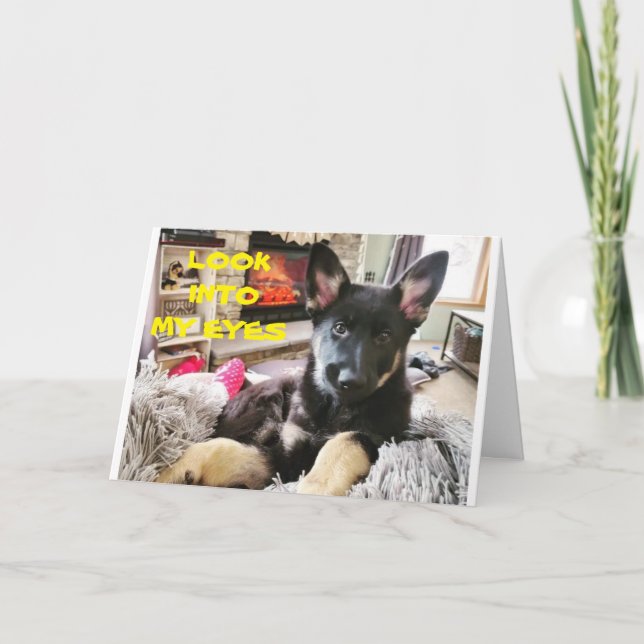 **BEST VETERINARISCH JE**GLÜCKLICHER GEBURTSTAG KARTE (Vorderseite)
