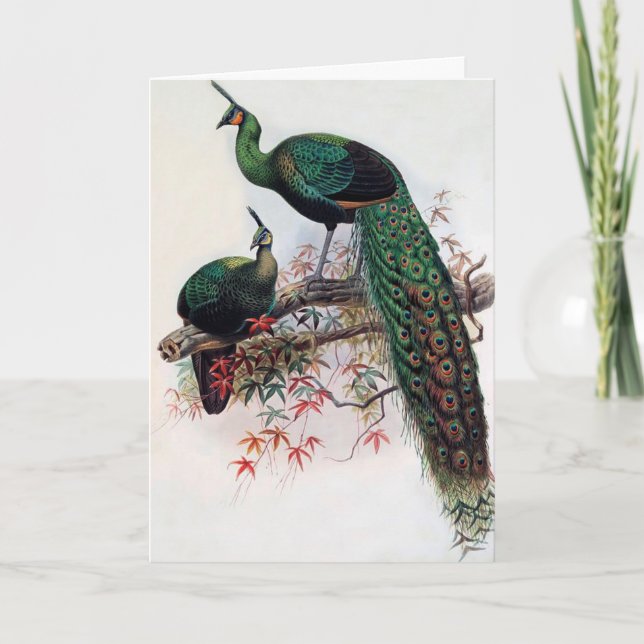 Best wishes, friends, family, Peacock Karte (Vorderseite)