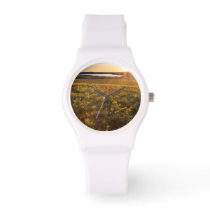 Bestand aus Arrowleaf-Balsamwurzel-Wildblumen Armbanduhr